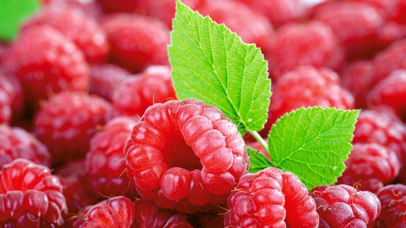 Промойте ягоды в растворе уксуса
