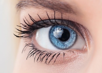Всё, что нужно знать о цветных контактных линзах