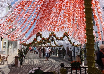 Фестиваль бумажных цветов Португалии